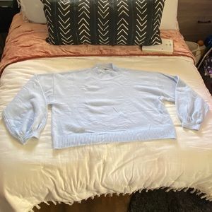 Wild Fable Light Blue Crop Sweater